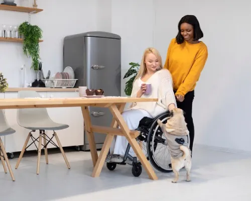 Daily Living Assistance